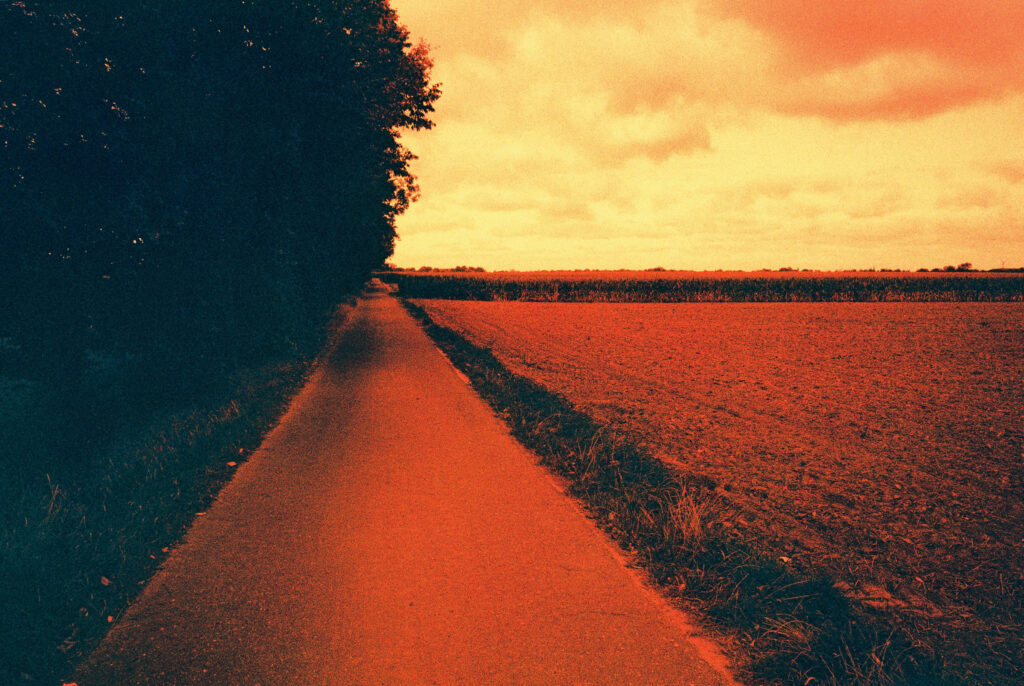 Weg auf Harman Red